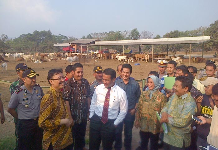 Mentan Datang, Feedloter di Cianjur Sepakat Harga Sapi Rp38.000/Kg